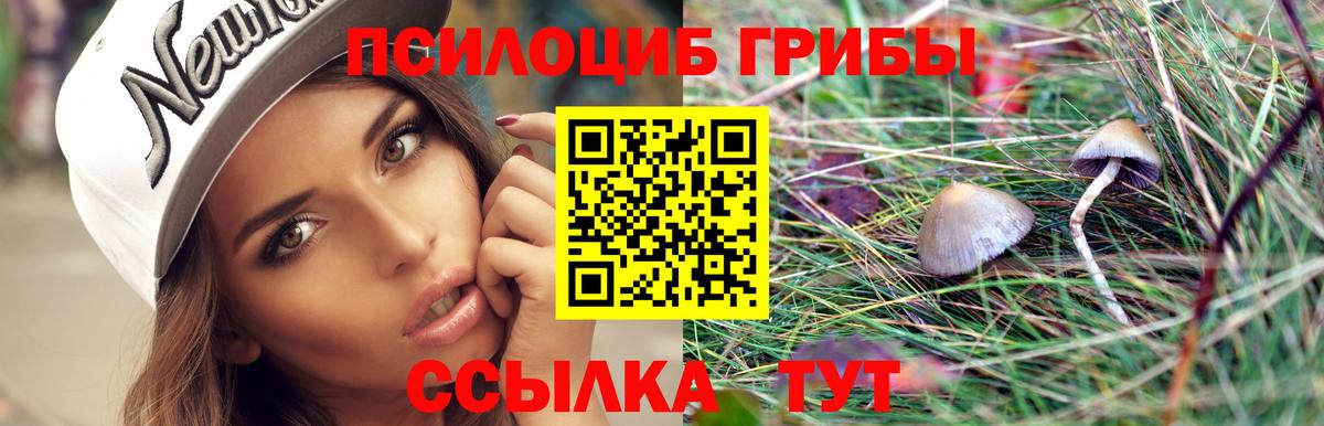 Серов  Псилоцибиновые грибы Magic Shrooms  Вход с VPN 